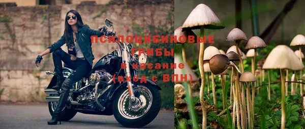 кокс Михайловск