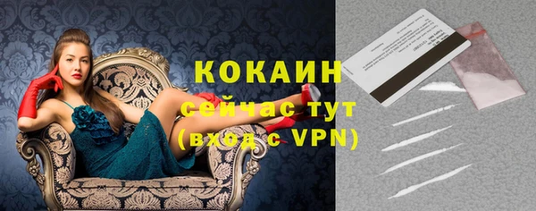 шишки Михайловка