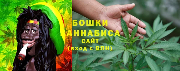 шишки Михайловка