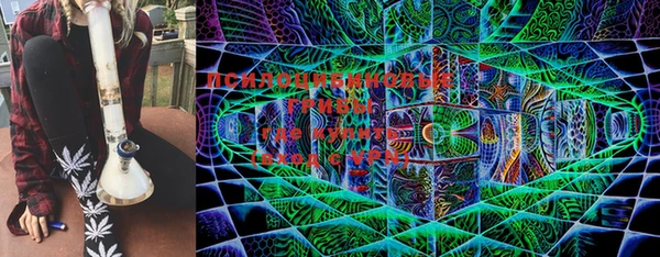 шишки Михайловка