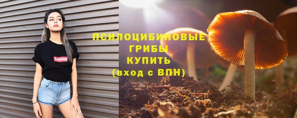 кокс Михайловск