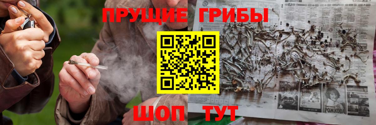 Беслан  Галлюциногенные грибы прущие грибы  Вход с VPN 