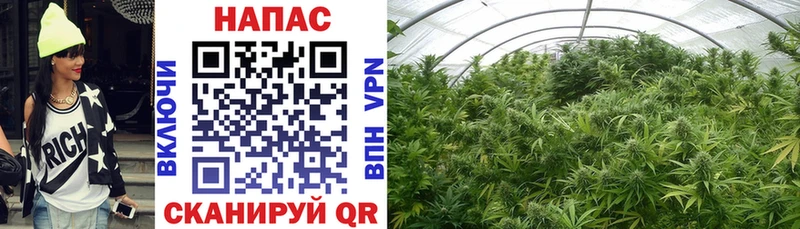 Шишки марихуана OG Kush  площадка состав  Беслан  цены  